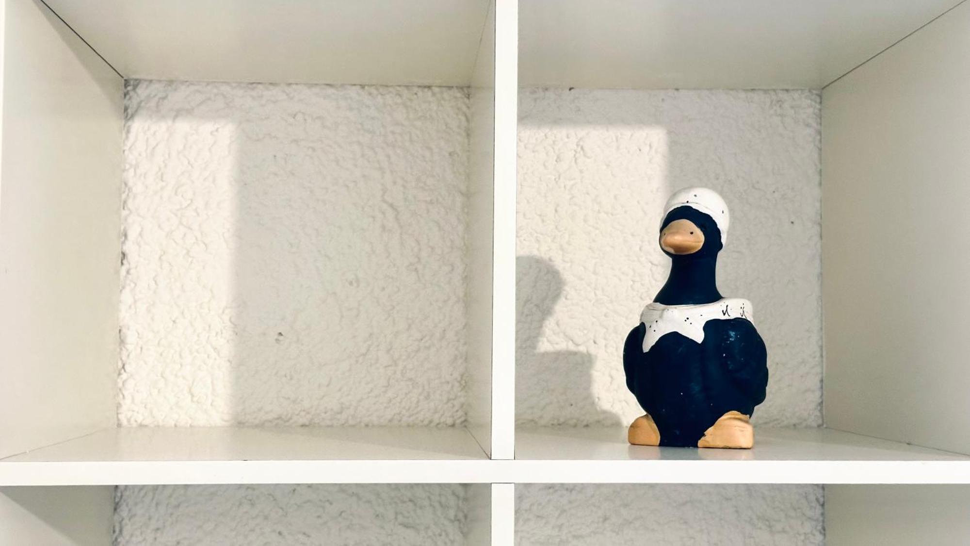 Rm11 - Senigallia, Trilocale Fronte Mare Dış mekan fotoğraf